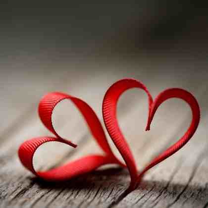 Quelles plantes offrir pour la Saint-Valentin ?