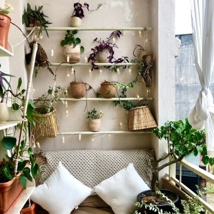 Sortir les plantes d'intérieur à la belle saison : tous nos conseils
