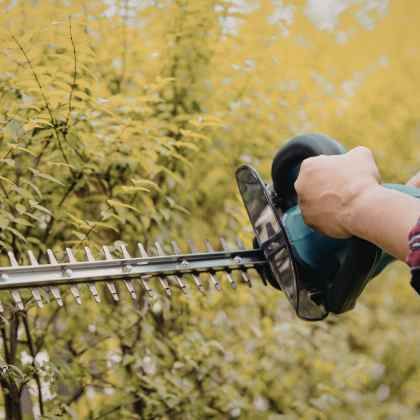 Ne taillons pas les haies entre le 15 mars et fin juillet !