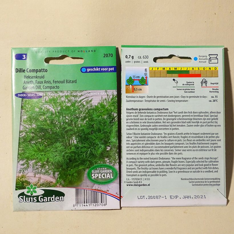 Exemple de spécimen de Aneth compatto le sachet de 400 graines (1g) tel que livré
