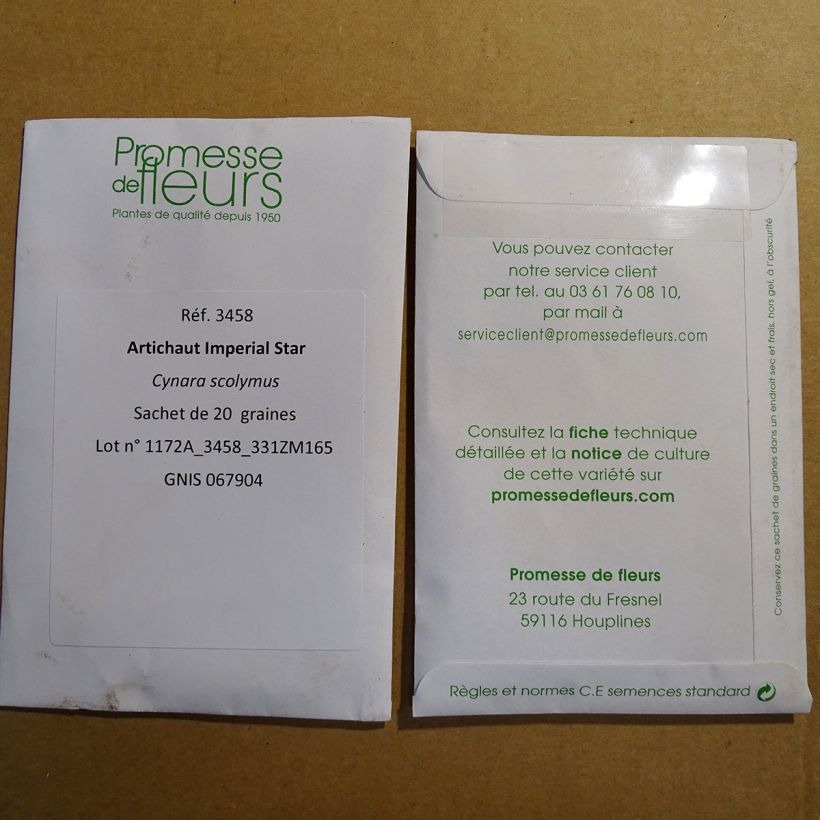 Exemple de spécimen de Artichaut Imperial Star - Cynara Scolymus le sachet de 20 graines (1g) tel que livré