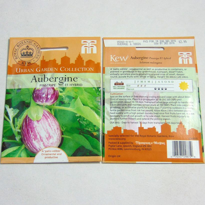 Exemple de spécimen de Aubergine Pinstripe - Solanum melongea le sachet de 6 graines tel que livré