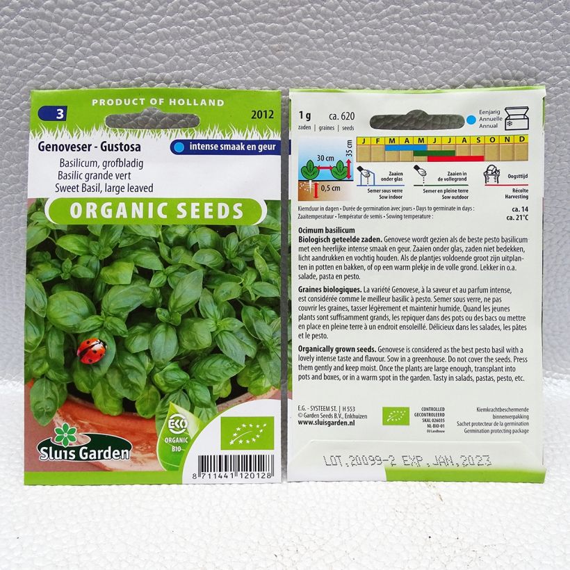 Exemple de spécimen de Basilic Gustosa Bio - Basilic à larges feuilles Genoveser le sachet de 620 graines (1g) tel que livré