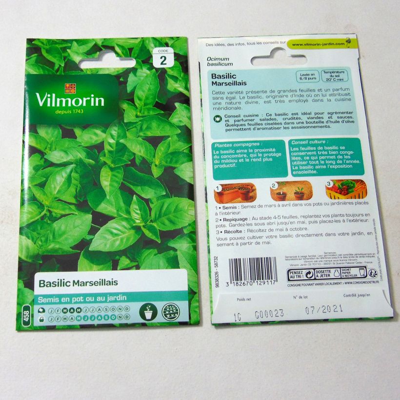 Exemple de spécimen de Basilic Marseillais (extrêmement parfumé) - Vilmorin le sachet de 800 graines (1g) tel que livré