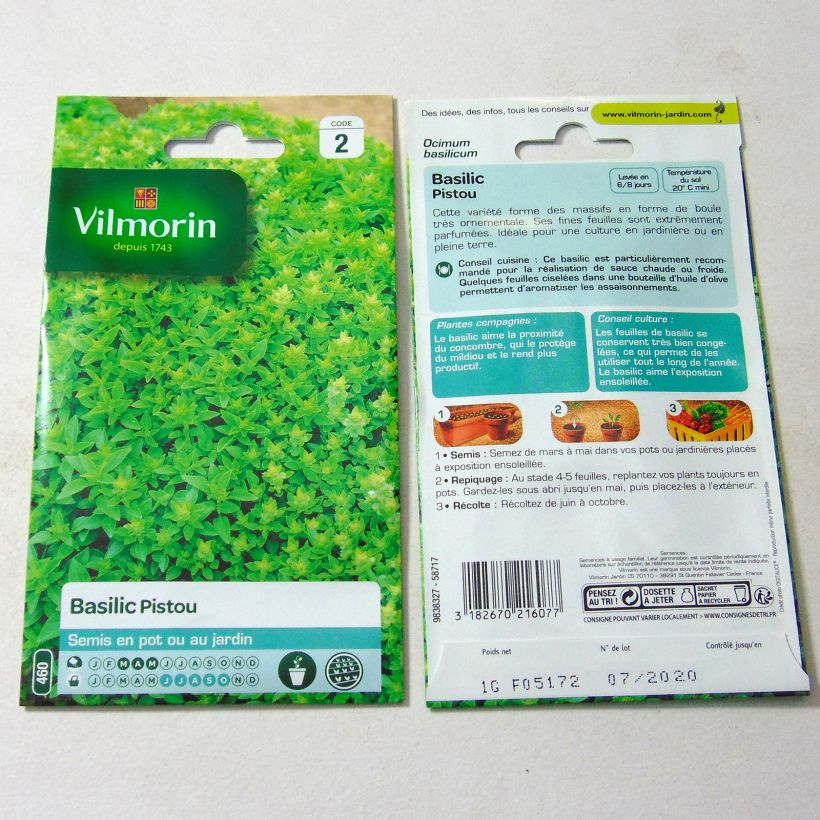 Exemple de spécimen de Basilic Pistou - Vilmorin le sachet de 800 graines (1g) tel que livré
