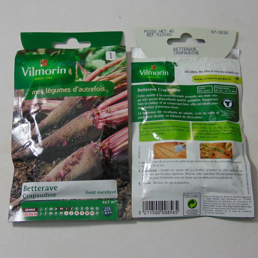 Exemple de spécimen de Betterave Crapaudine - Vilmorin le sachet de 200 graines (4g) tel que livré