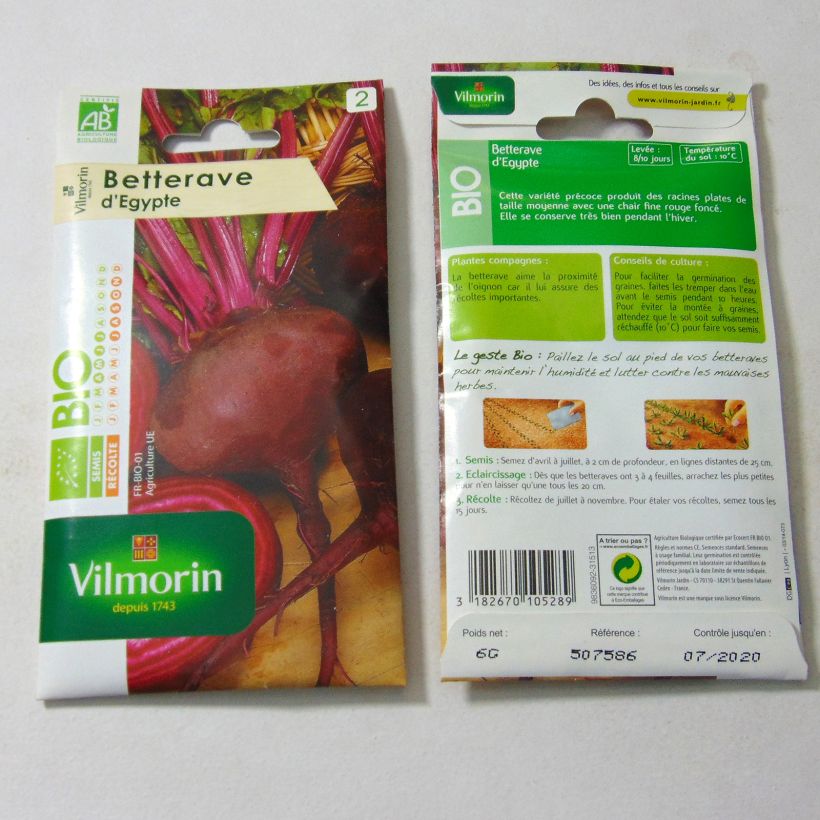 Exemple de spécimen de Betterave noire plate d'Egypte Bio - Vilmorin le sachet de 300 graines (6g) tel que livré