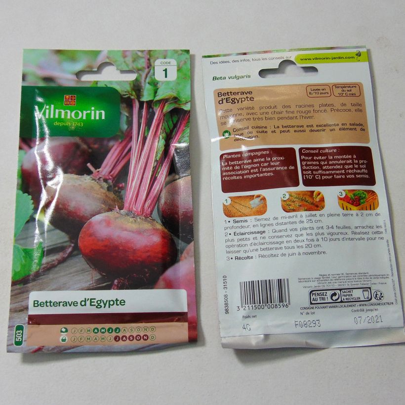 Exemple de spécimen de Betterave noire plate d'Egypte - Vilmorin le sachet de 200 graines (4g) tel que livré