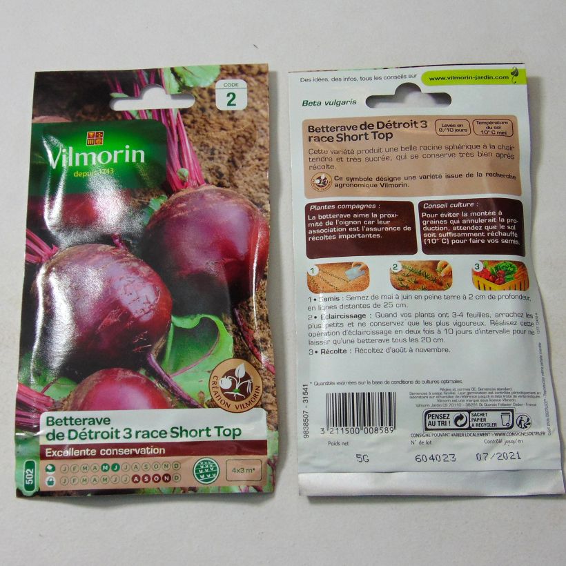 Exemple de spécimen de Betterave rouge de Détroit 3 race Short Top (Sél. Vilmorin) - Vilmorin le sachet de 250 graines (5g) tel que livré