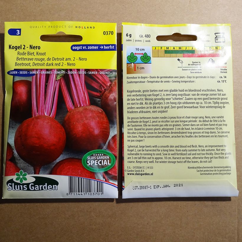 Exemple de spécimen de Betterave rouge de Detroit am. 2 - Nero le sachet de 480 graines (6g) tel que livré