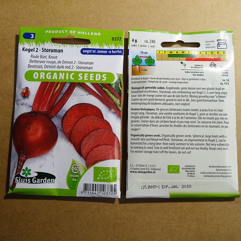 Exemple de spécimen de Betterave rouge de Detroit am. 2 - Storuman BIO le sachet de 240 graines (4g) tel que livré
