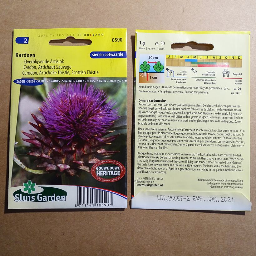 Exemple de spécimen de Cardon ou Artichaut sauvage Bio le sachet de 20 graines (0.8g) tel que livré