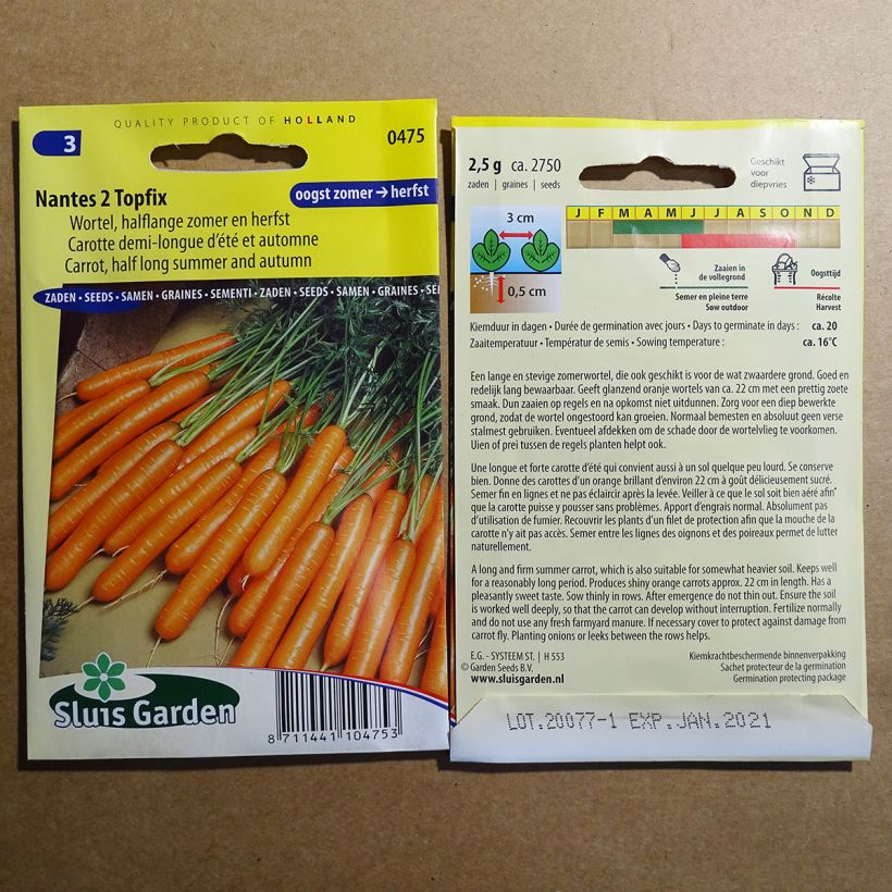 Exemple de spécimen de Carotte Nantes 2 Topfix le sachet de 2750 graines (2g) tel que livré