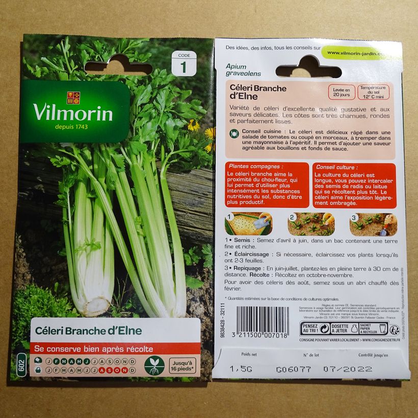 Exemple de spécimen de Céleri branche d'Elne - Vilmorin le sachet de 2500 graines (1g) tel que livré