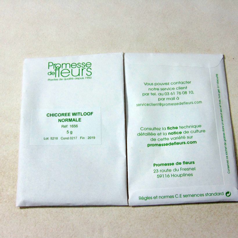 Esempio di esemplare Indivia Witloof Normale Maraîchère sacchetto di 3000 semi circa (5g) come consegnato