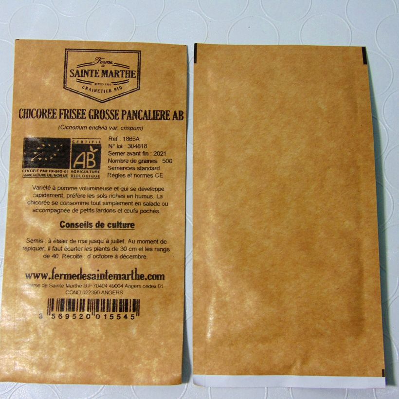 Exemple de spécimen de Chicorée frisée Grosse Pancalière Bio - Ferme de Sainte Marthe le sachet de 600 graines (minimum 2g) tel que livré