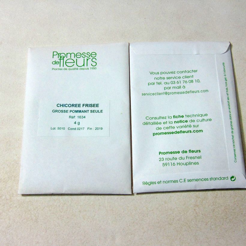 Exemple de spécimen de Chicorée frisée Grosse Pommant Seule - Cichorium endivia var. crispum le sachet de +/- 2500 graines (minimum 4g) tel que livré