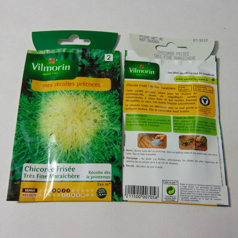 Exemple de spécimen de Chicorée frisée très fine maraîchère 3 - Vilmorin le sachet de 2400 graines (4g) tel que livré