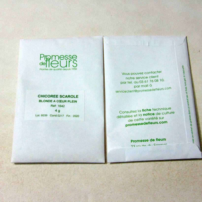 Exemple de spécimen de Chicorée scarole Blonde à Coeur Plein - Cichorium endivia le sachet de 2500 graines (4g) tel que livré