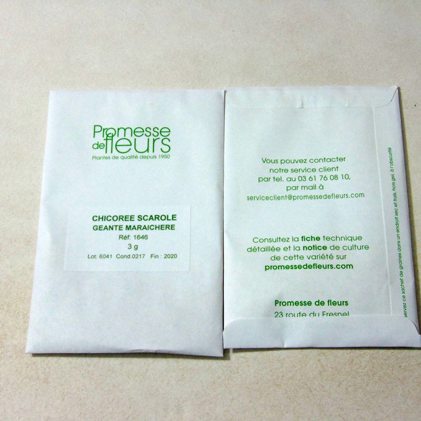 Exemple de spécimen de Chicorée scarole Géante Maraîchère - Cichorium endivia le sachet de 1800 graines (3g) tel que livré