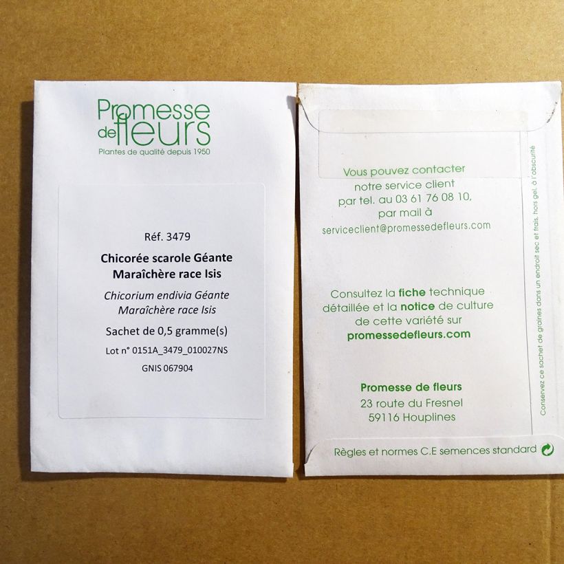 Exemple de spécimen de Chicorée scarole Géante Maraîchère race Isis  le sachet de 300 graines (0.5g) tel que livré