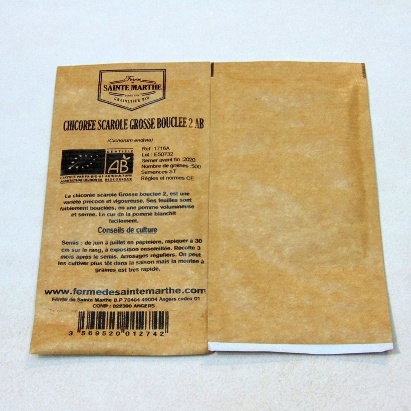 Exemple de spécimen de Chicorée scarole Grosse Bouclée 2 Bio - Ferme de Sainte Marthe le sachet de 500 graines tel que livré