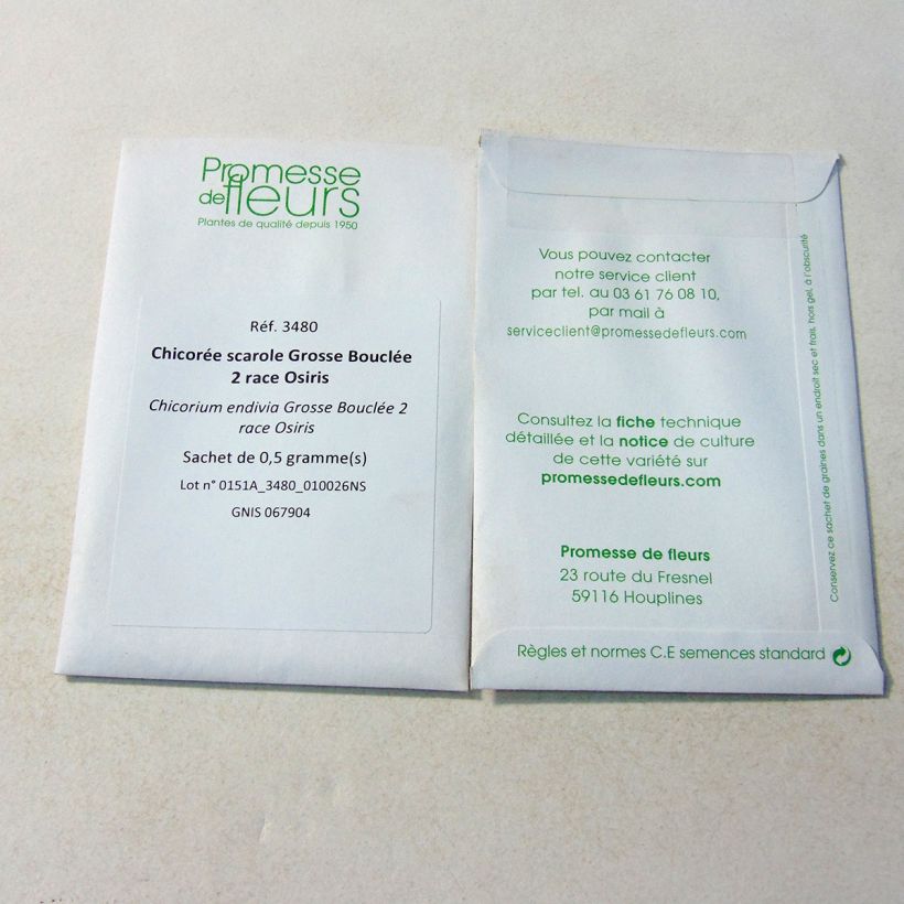 Exemple de spécimen de Chicorée scarole Grosse Bouclée 2 race Osiris  le sachet de 300 graines (0.5g) tel que livré