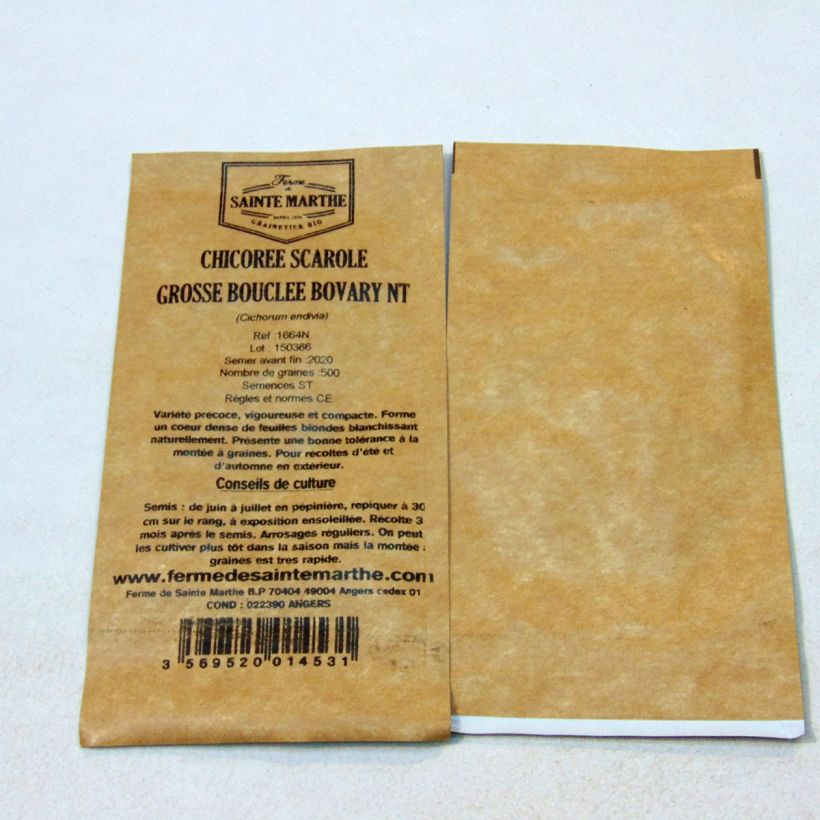 Beispiel eines Exemplars von Endivie Escariol Grobo Bovary NT - Ferme de Sainte Marthe die Tüte mit 500 Samen wie geliefert
