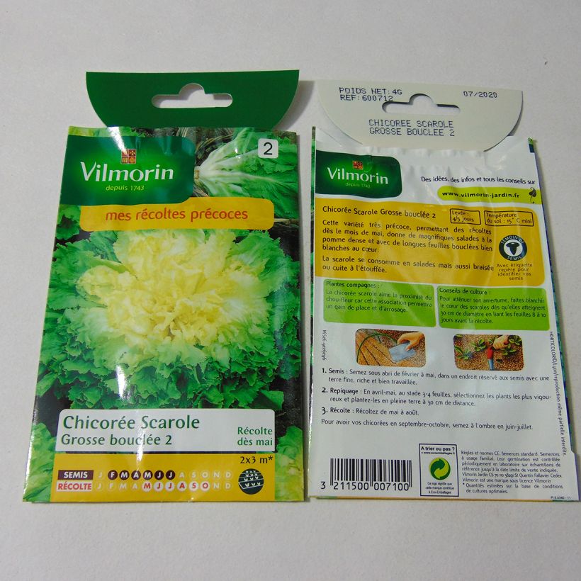 Exemple de spécimen de Chicorée scarole Grosse bouclée 2 - Vilmorin le sachet de 2400 graines (4g) tel que livré