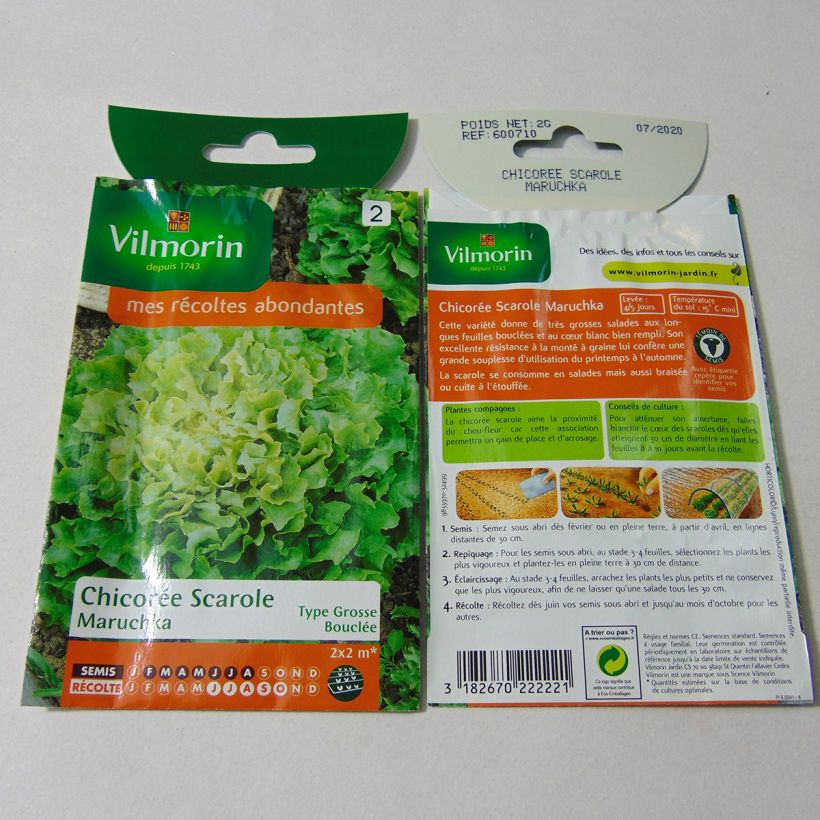 Exemple de spécimen de Chicorée scarole Maruschka (remplace Catalane) - Vilmorin le sachet de 1200 graines (2g) tel que livré