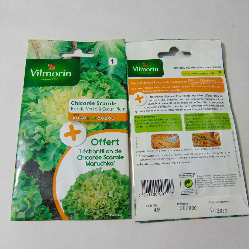 Exemple de spécimen de Chicorée scarole Ronde verte à cœur plein + échantillon scarole Maruchka - Vilmorin le sachet de 2400 graines (4g) tel que livré