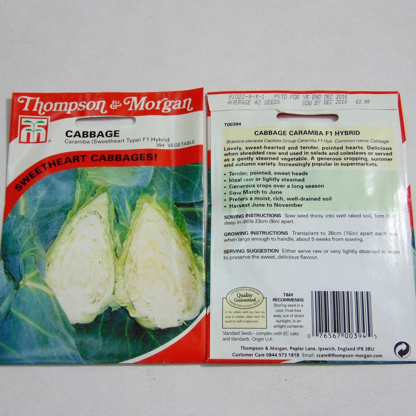 Exemple de spécimen de Chou Cabus Caramba F1 le sachet de 40 graines tel que livré