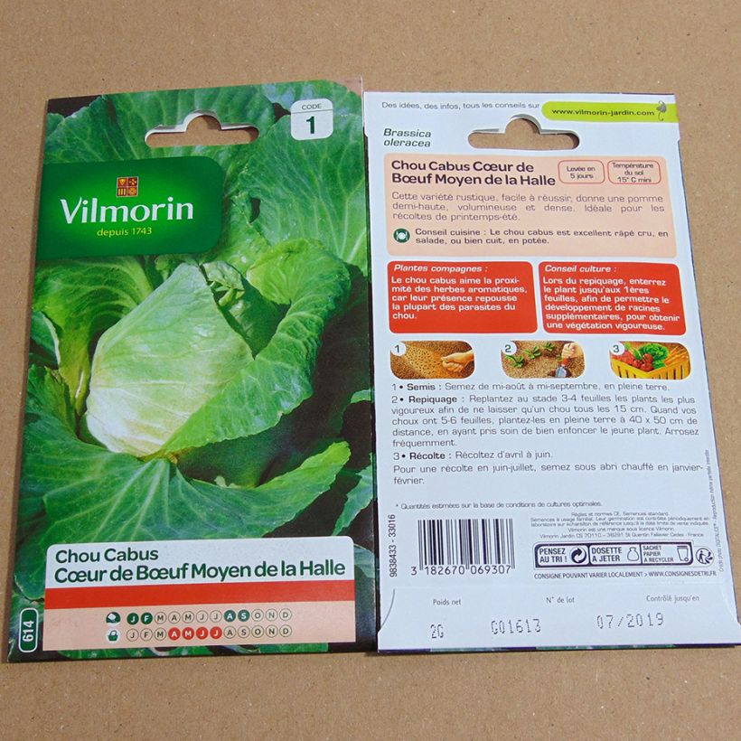 Exemple de spécimen de Chou Cabus Cœur de Bœuf Moyen de la Halle - Vilmorin le sachet de 800 graines (2g) tel que livré