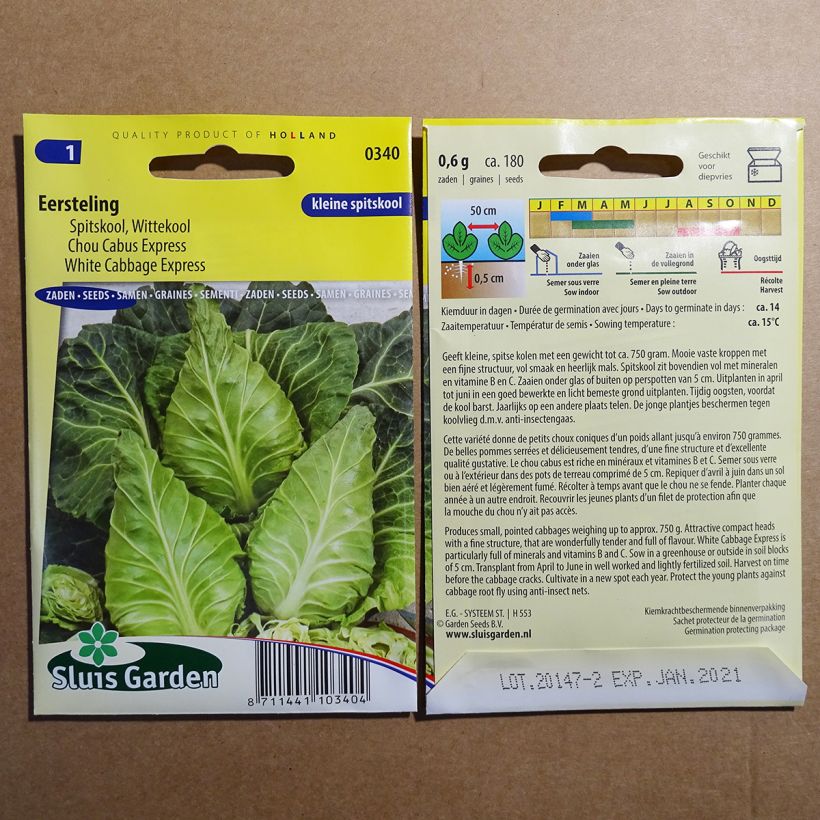 Exemple de spécimen de Chou Cabus Express Eersteling le sachet de 180 graines tel que livré