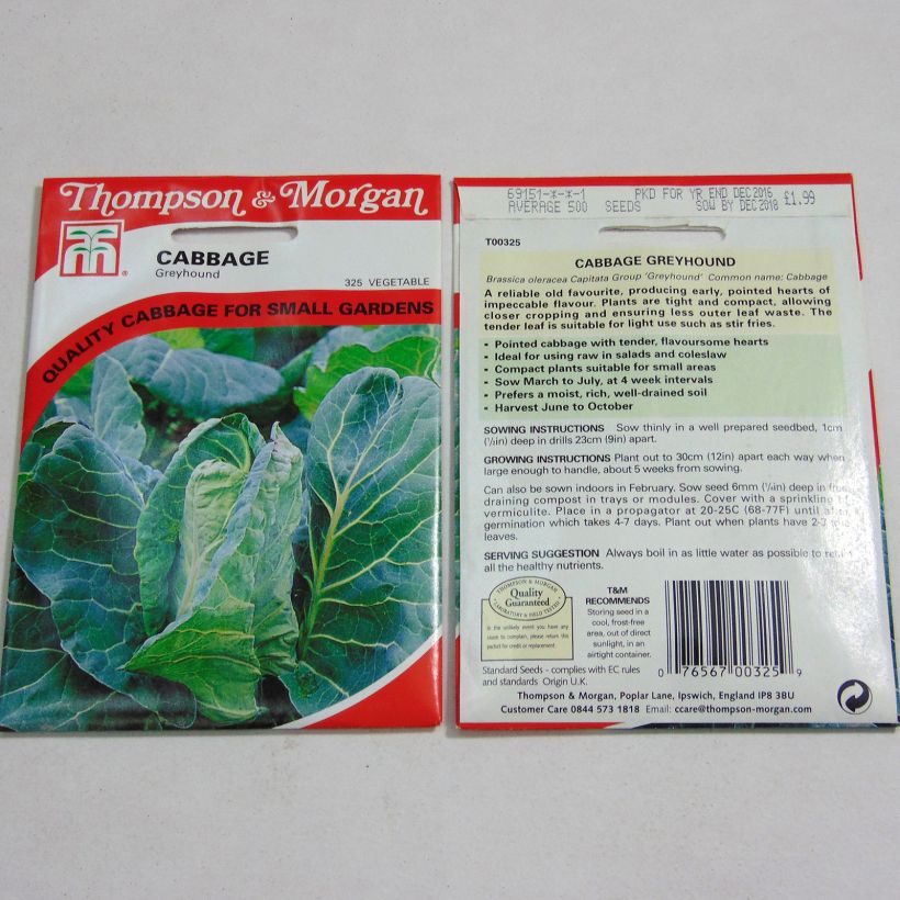 Exemple de spécimen de Chou Cabus Greyhound le sachet de 500 graines tel que livré