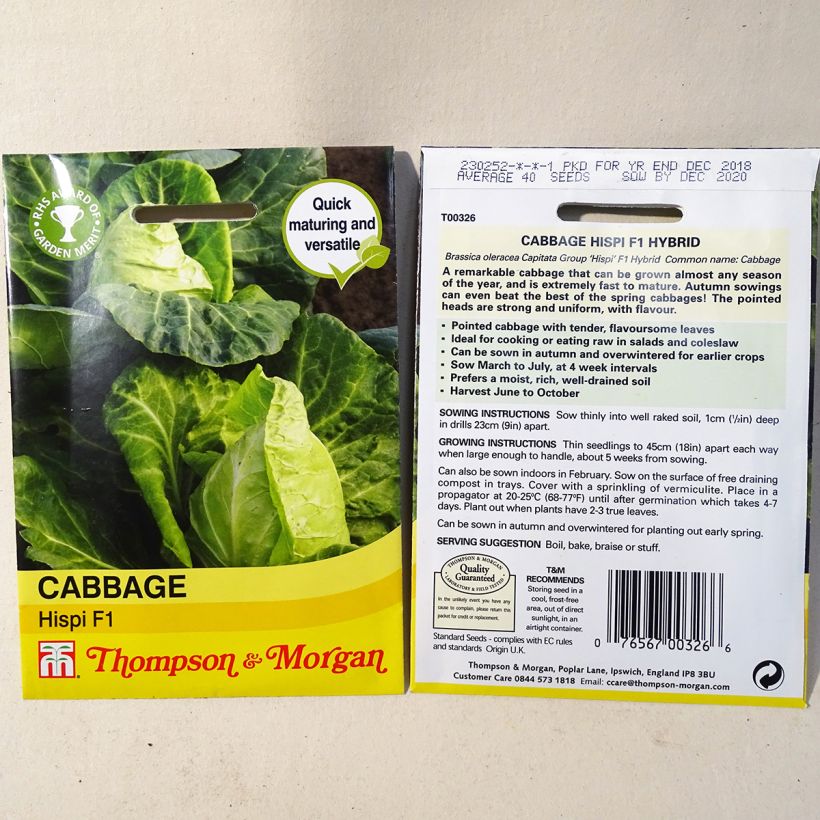 Exemple de spécimen de Chou Cabus Hispi F1 le sachet de 40 graines tel que livré