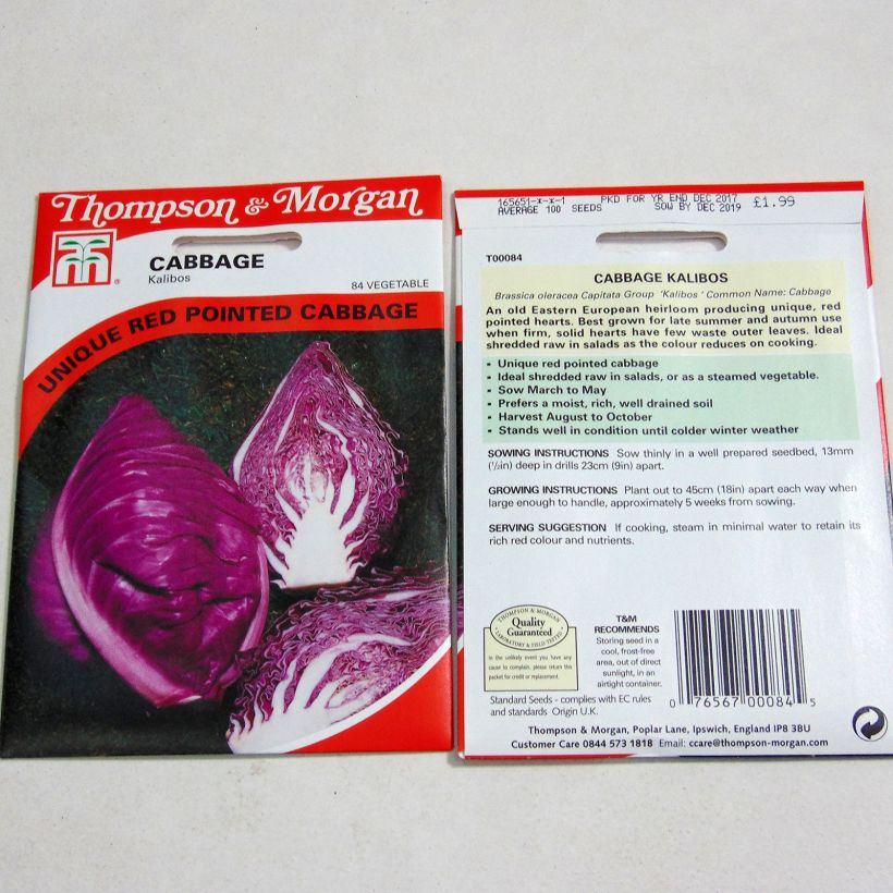 Exemple de spécimen de Chou Cabus Kalibos (Filderkraut) F1 le sachet de 100 graines tel que livré