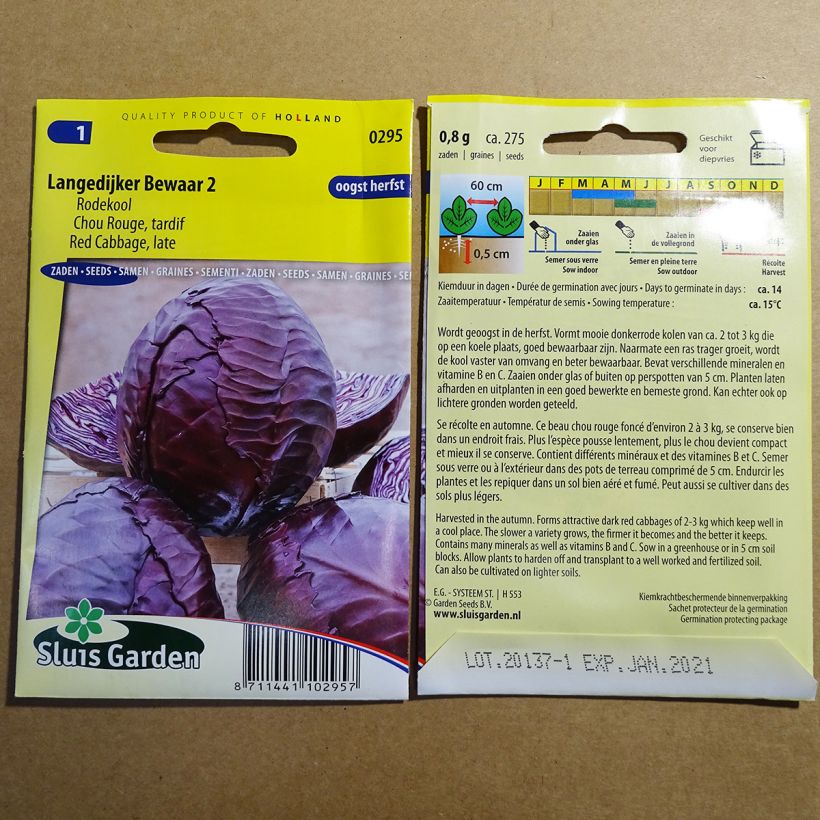 Exemple de spécimen de Chou Cabus Langedijker Bewaar 2 rouge le sachet de 275 graines tel que livré