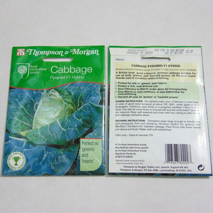 Exemple de spécimen de Chou Cabus Pyramid F1 le sachet de 75 graines tel que livré