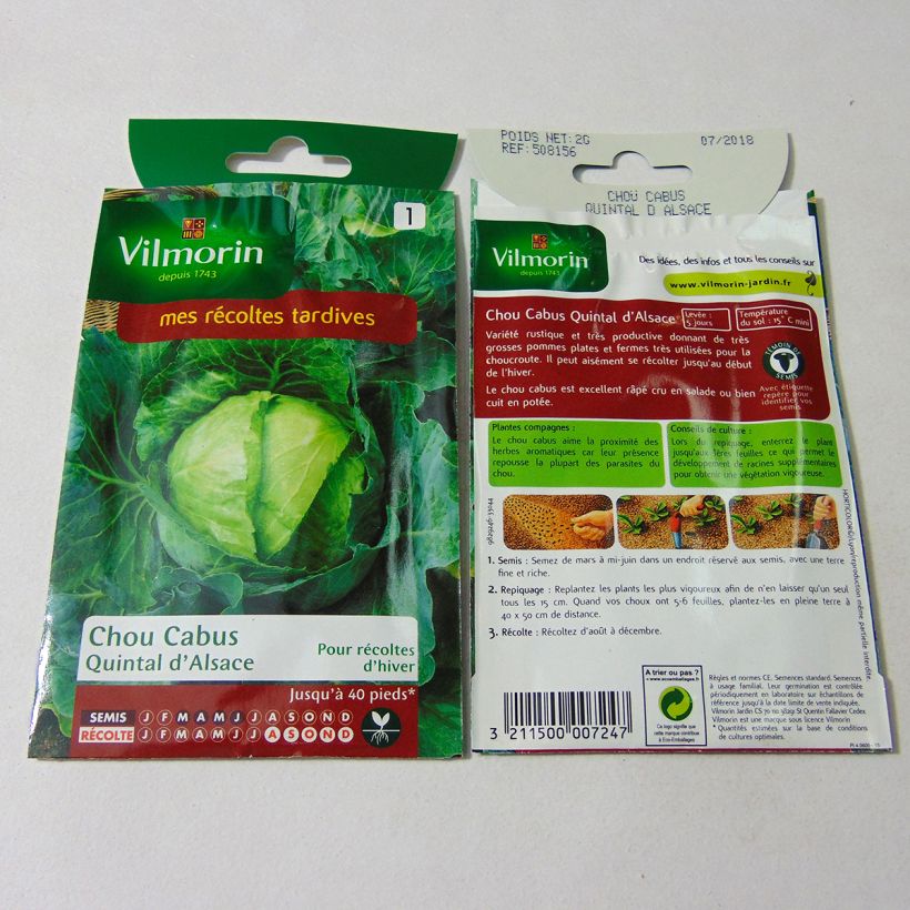 Exemple de spécimen de Chou Cabus Quintal d'Alsace - Vilmorin le sachet de 800 graines (2g) tel que livré