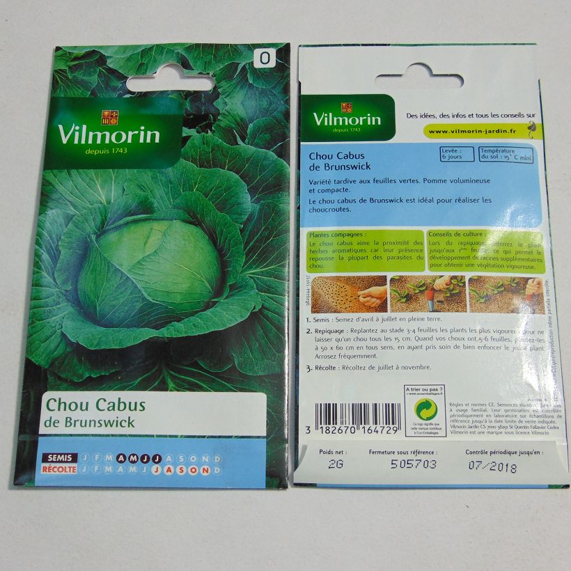 Exemple de spécimen de Chou Cabus de Brunswick - Vilmorin le sachet de 800 graines (2g) tel que livré