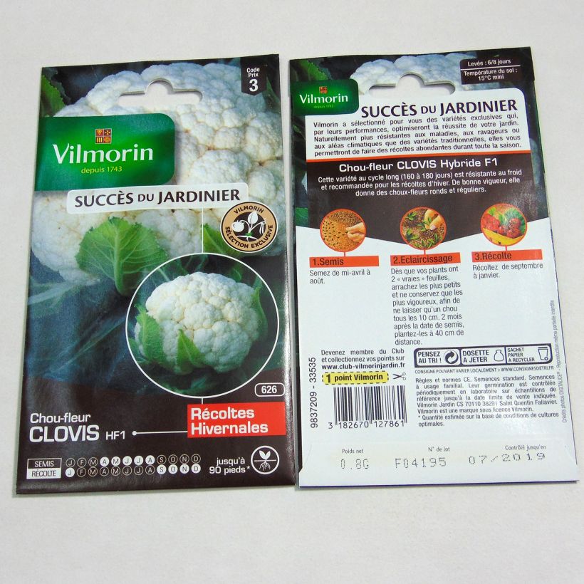 Exemple de spécimen de Chou-Fleur Clovis F1 (Création Vilmorin) - Vilmorin le sachet de 320 graines (0.8g) tel que livré