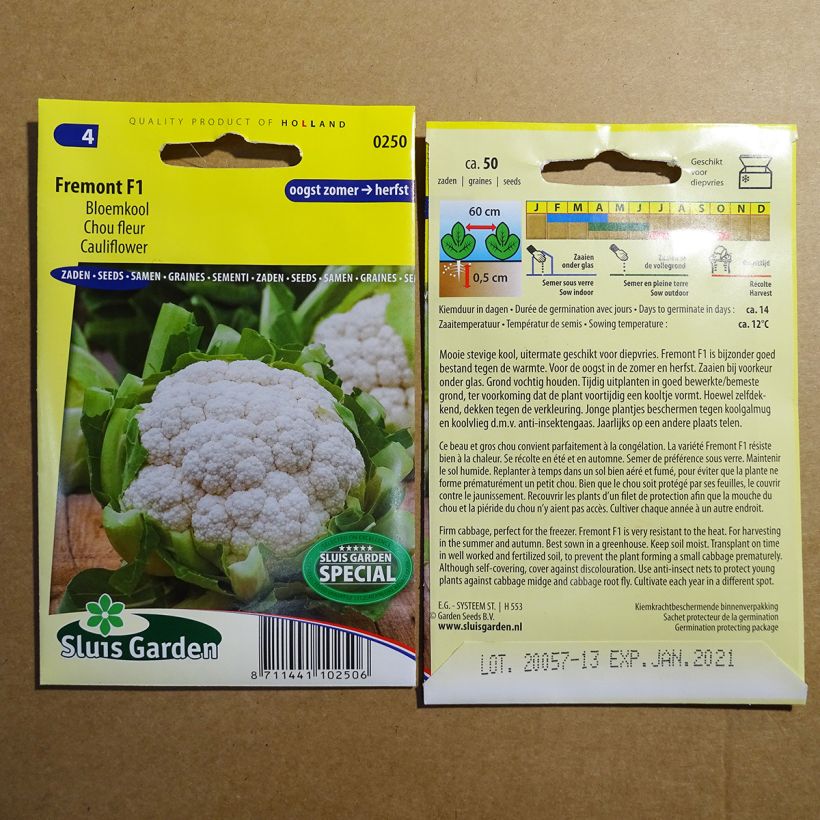 Exemple de spécimen de Chou-Fleur Synergy F1 le sachet de 50 graines tel que livré