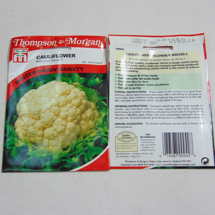 Exemple de spécimen de Chou-Fleur Walcheren Winter 5 le sachet de 50 graines tel que livré