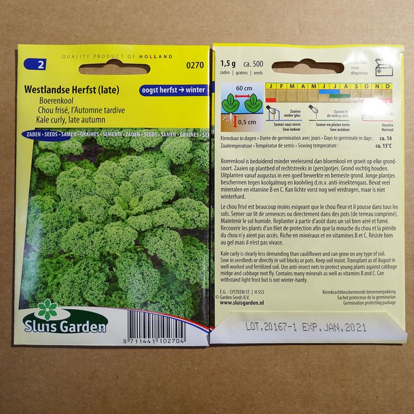Exemple de spécimen de Chou Frisé d'Automne tardif le sachet de 500 graines (1g) tel que livré