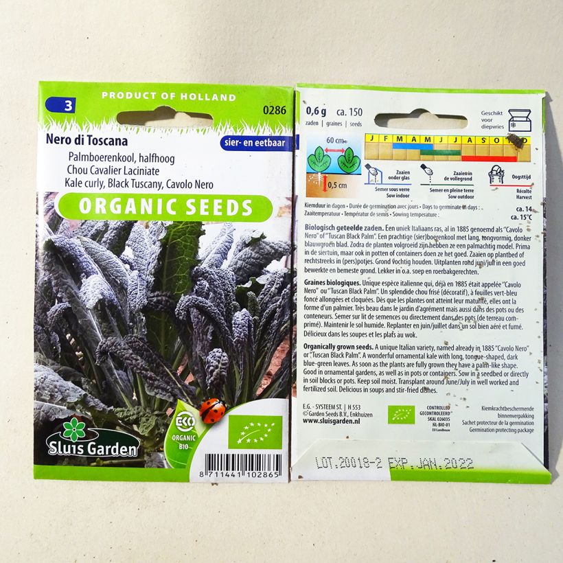 Exemple de spécimen de Chou Kale Nero di Toscana Bio le sachet de 150 graines (0,7g) tel que livré