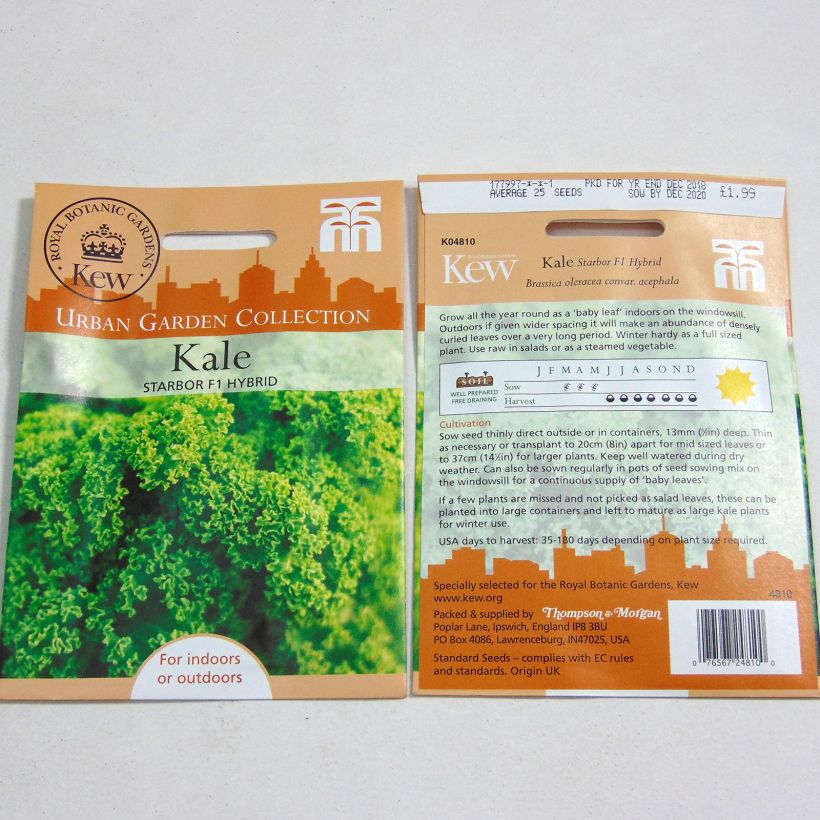 Exemple de spécimen de Chou Kale Starbor F1 le sachet de 25 graines tel que livré