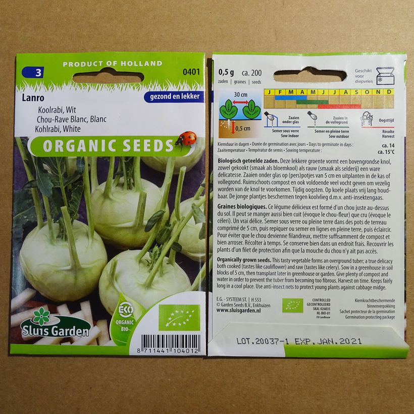 Exemple de spécimen de Chou-Rave Lanro Blanc Bio le sachet de 200 graines tel que livré