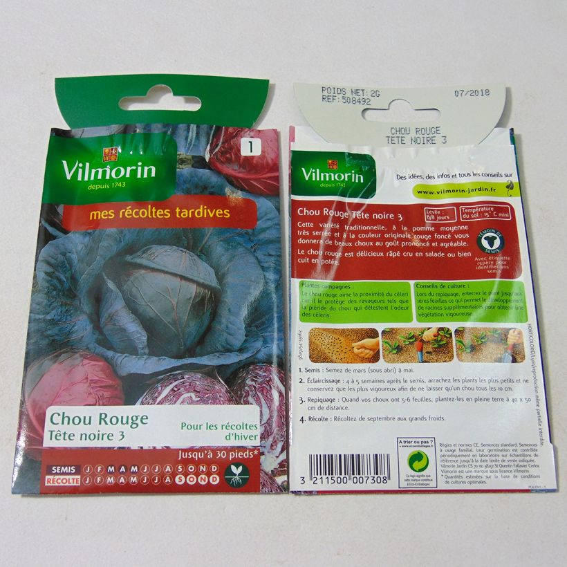 Exemple de spécimen de Chou cabus Tête noire 3 - Vilmorin le sachet de 800 graines (2g) tel que livré