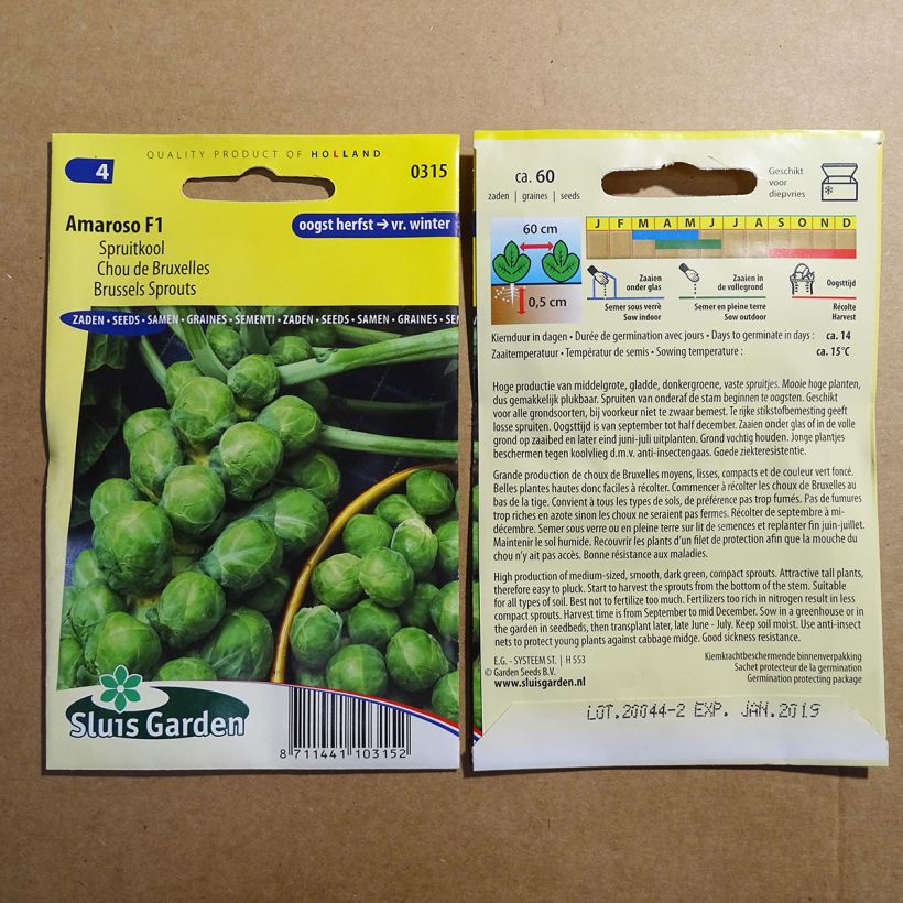Exemple de spécimen de Chou de Bruxelles Amaroso F1 le sachet de 60 graines tel que livré